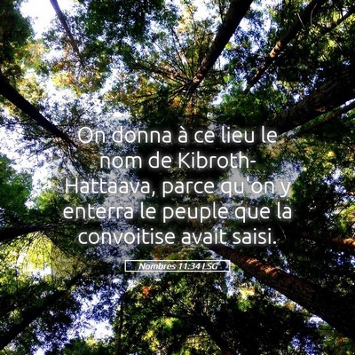 Picture 05 - Nombres 11:34 LSG - On donna à ce lieu le nom de Kibroth-Hattaava, - Bible Verse Picture