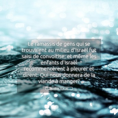 Picture 05 - Nombres 11:4 LSG - Le ramassis de gens qui se trouvaient au milieu - Bible Verse Picture