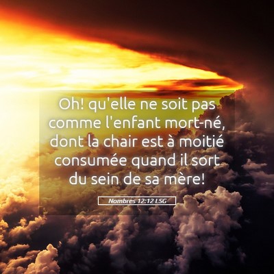 Picture 05 - Nombres 12:12 LSG - Oh! qu'elle ne soit pas comme l'enfant mort-né, - Bible Verse Picture
