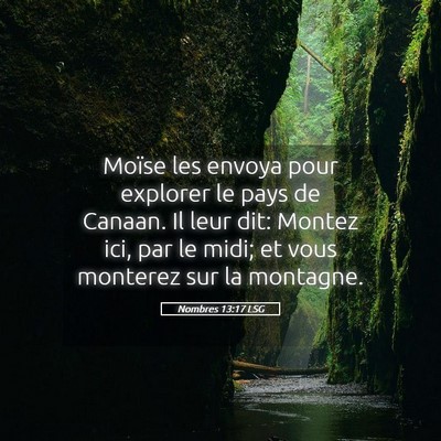 Picture 05 - Nombres 13:17 LSG - Moïse les envoya pour explorer le pays de - Bible Verse Picture