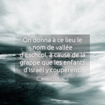 Picture 05 - Nombres 13:24 LSG - On donna à ce lieu le nom de vallée d'Eschcol, - Bible Verse Picture