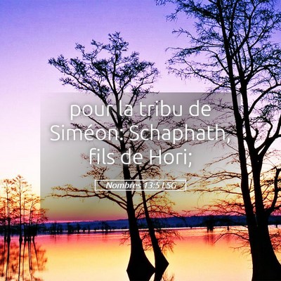 Picture 05 - Nombres 13:5 LSG - pour la tribu de Siméon: Schaphath, fils de - Bible Verse Picture