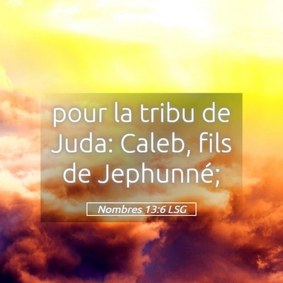 Picture 05 - Nombres 13:6 LSG - pour la tribu de Juda: Caleb, fils de - Bible Verse Picture