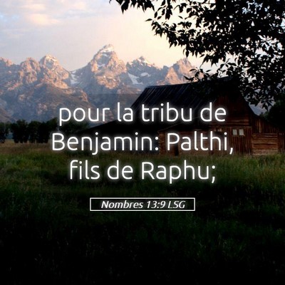 Picture 05 - Nombres 13:9 LSG - pour la tribu de Benjamin: Palthi, fils de - Bible Verse Picture