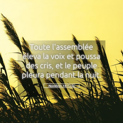 Picture 05 - Nombres 14:1 LSG - Toute l'assemblée éleva la voix et poussa des - Bible Verse Picture