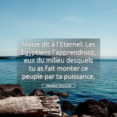 Picture 05 - Nombres 14:13 LSG - Moïse dit à l'Eternel: Les Egyptiens - Bible Verse Picture