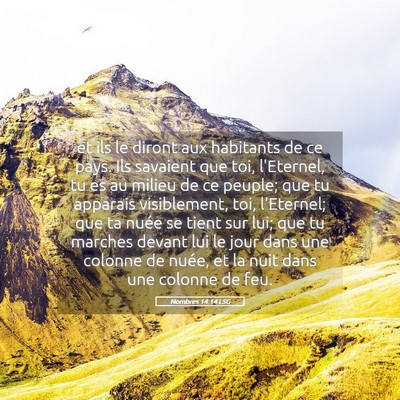 Picture 05 - Nombres 14:14 LSG - et ils le diront aux habitants de ce pays. Ils - Bible Verse Picture