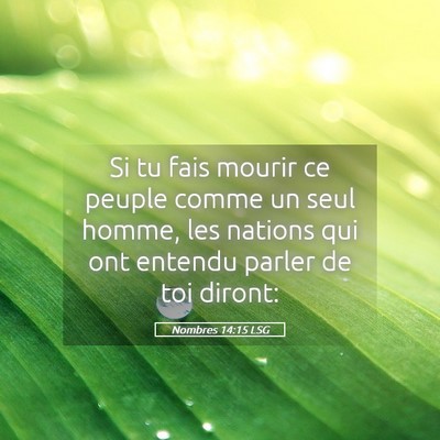 Picture 05 - Nombres 14:15 LSG - Si tu fais mourir ce peuple comme un seul homme, - Bible Verse Picture