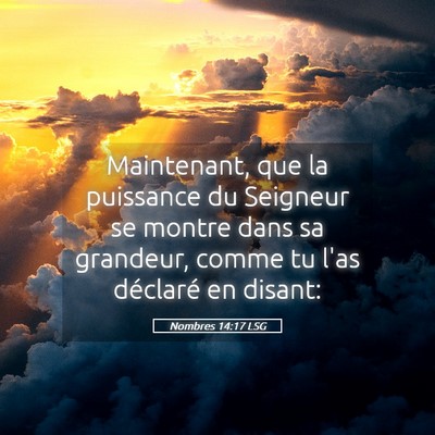 Picture 05 - Nombres 14:17 LSG - Maintenant, que la puissance du Seigneur se - Bible Verse Picture