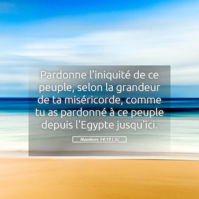 Picture 05 - Nombres 14:19 LSG - Pardonne l'iniquité de ce peuple, selon la - Bible Verse Picture