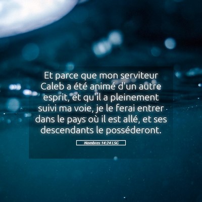 Picture 05 - Nombres 14:24 LSG - Et parce que mon serviteur Caleb a été animé - Bible Verse Picture