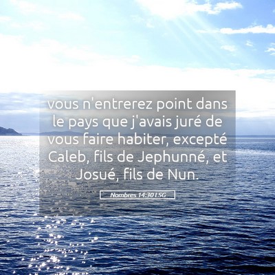 Picture 05 - Nombres 14:30 LSG - vous n'entrerez point dans le pays que j'avais - Bible Verse Picture