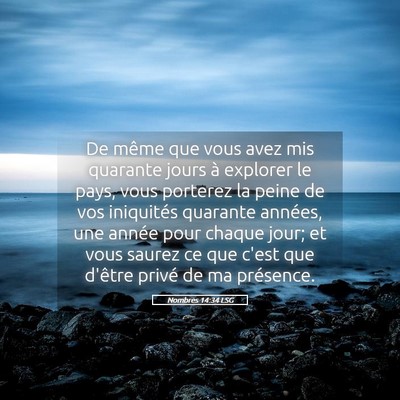 Picture 05 - Nombres 14:34 LSG - De même que vous avez mis quarante jours à - Bible Verse Picture