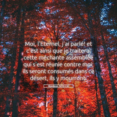 Picture 05 - Nombres 14:35 LSG - Moi, l'Eternel, j'ai parlé! et c'est ainsi que - Bible Verse Picture