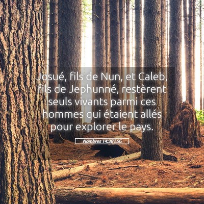 Picture 05 - Nombres 14:38 LSG - Josué, fils de Nun, et Caleb, fils de Jephunné, - Bible Verse Picture
