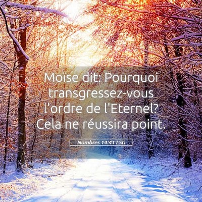 Picture 05 - Nombres 14:41 LSG - Moïse dit: Pourquoi transgressez-vous l'ordre de - Bible Verse Picture