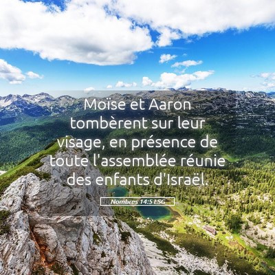 Picture 05 - Nombres 14:5 LSG - Moïse et Aaron tombèrent sur leur visage, en - Bible Verse Picture
