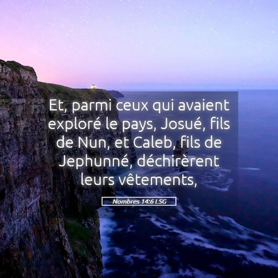 Picture 05 - Nombres 14:6 LSG - Et, parmi ceux qui avaient exploré le pays, - Bible Verse Picture