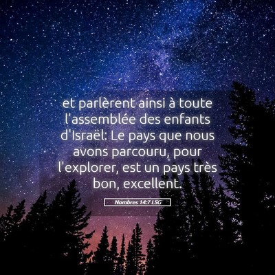 Picture 05 - Nombres 14:7 LSG - et parlèrent ainsi à toute l'assemblée des - Bible Verse Picture