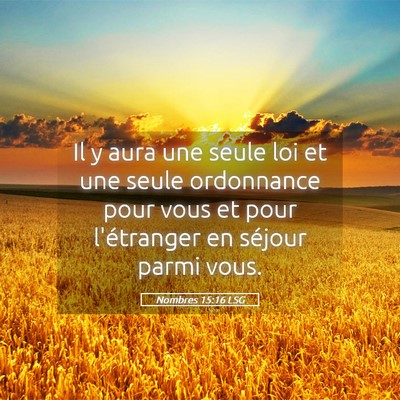 Picture 05 - Nombres 15:16 LSG - Il y aura une seule loi et une seule ordonnance - Bible Verse Picture