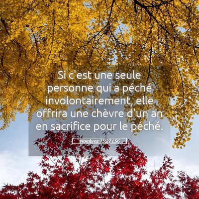 Picture 05 - Nombres 15:27 LSG - Si c'est une seule personne qui a péché - Bible Verse Picture