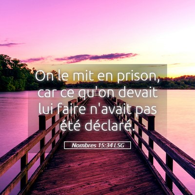 Picture 05 - Nombres 15:34 LSG - On le mit en prison, car ce qu'on devait lui - Bible Verse Picture