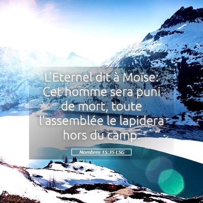 Picture 05 - Nombres 15:35 LSG - L'Eternel dit à Moïse: Cet homme sera puni de - Bible Verse Picture