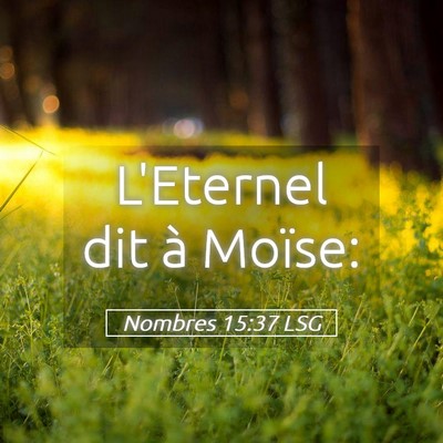 Picture 05 - Nombres 15:37 LSG - L'Eternel dit à - Bible Verse Picture