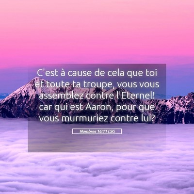 Picture 05 - Nombres 16:11 LSG - C'est à cause de cela que toi et toute ta - Bible Verse Picture