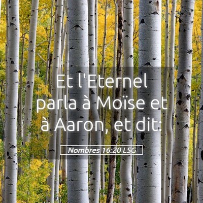 Picture 05 - Nombres 16:20 LSG - Et l'Eternel parla à Moïse et à Aaron, et - Bible Verse Picture