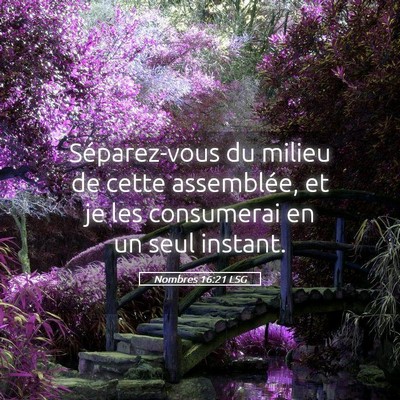 Picture 05 - Nombres 16:21 LSG - Séparez-vous du milieu de cette assemblée, et - Bible Verse Picture