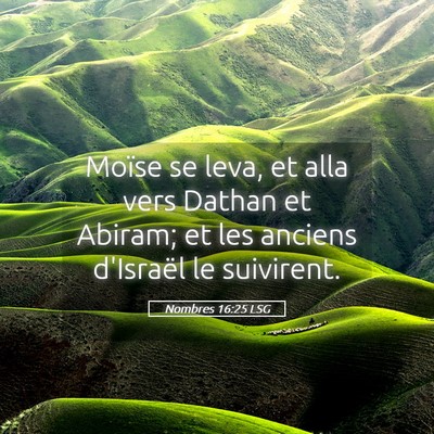 Picture 05 - Nombres 16:25 LSG - Moïse se leva, et alla vers Dathan et Abiram; et - Bible Verse Picture