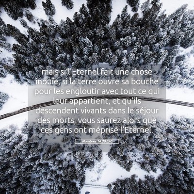 Picture 05 - Nombres 16:30 LSG - mais si l'Eternel fait une chose inouïe, si la - Bible Verse Picture