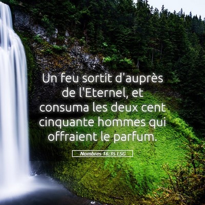 Picture 05 - Nombres 16:35 LSG - Un feu sortit d'auprès de l'Eternel, et consuma - Bible Verse Picture