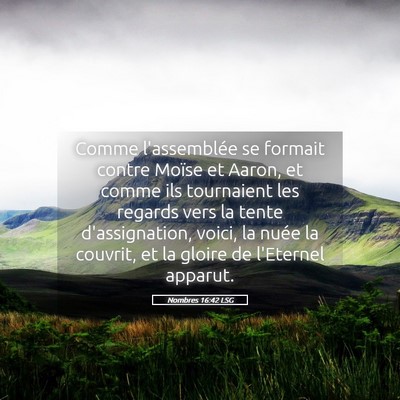Picture 05 - Nombres 16:42 LSG - Comme l'assemblée se formait contre Moïse et - Bible Verse Picture