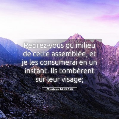 Picture 05 - Nombres 16:45 LSG - Retirez-vous du milieu de cette assemblée, et je - Bible Verse Picture