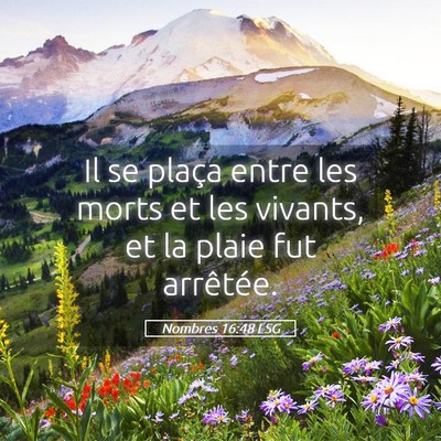 Picture 05 - Nombres 16:48 LSG - Il se plaça entre les morts et les vivants, et - Bible Verse Picture