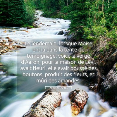 Picture 05 - Nombres 17:8 LSG - Le lendemain, lorsque Moïse entra dans la tente - Bible Verse Picture