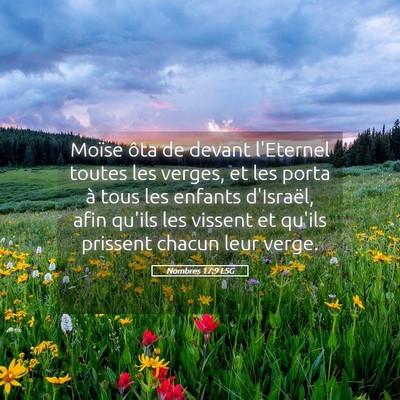 Picture 05 - Nombres 17:9 LSG - Moïse ôta de devant l'Eternel toutes les - Bible Verse Picture