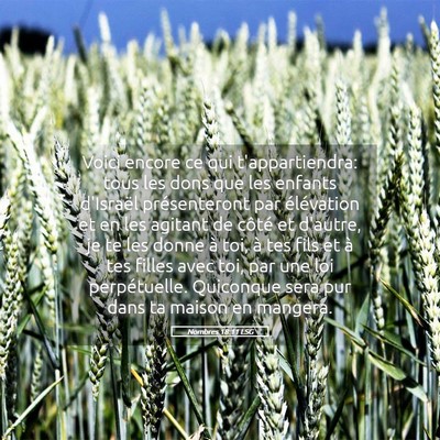Picture 05 - Nombres 18:11 LSG - Voici encore ce qui t'appartiendra: tous les dons - Bible Verse Picture