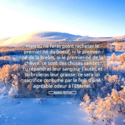 Picture 05 - Nombres 18:17 LSG - Mais tu ne feras point racheter le premier-né du - Bible Verse Picture