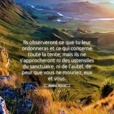 Picture 05 - Nombres 18:3 LSG - Ils observeront ce que tu leur ordonneras et ce - Bible Verse Picture