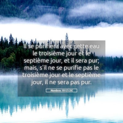Picture 05 - Nombres 19:12 LSG - Il se purifiera avec cette eau le troisième jour - Bible Verse Picture
