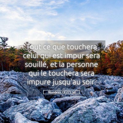 Picture 05 - Nombres 19:22 LSG - Tout ce que touchera celui qui est impur sera - Bible Verse Picture