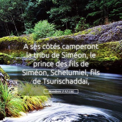 Picture 05 - Nombres 2:12 LSG - A ses côtés camperont la tribu de Siméon, le - Bible Verse Picture
