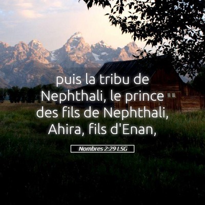 Picture 05 - Nombres 2:29 LSG - puis la tribu de Nephthali, le prince des fils de - Bible Verse Picture