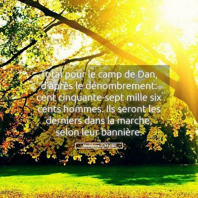 Picture 05 - Nombres 2:31 LSG - Total pour le camp de Dan, d'après le - Bible Verse Picture