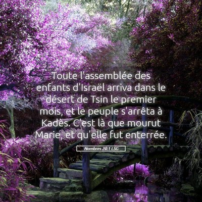 Picture 05 - Nombres 20:1 LSG - Toute l'assemblée des enfants d'Israël arriva - Bible Verse Picture