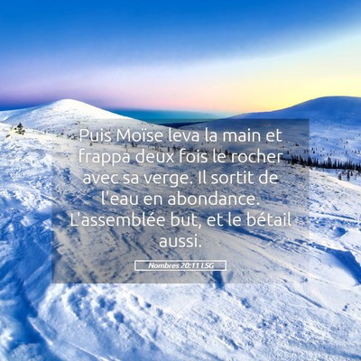 Picture 05 - Nombres 20:11 LSG - Puis Moïse leva la main et frappa deux fois le - Bible Verse Picture