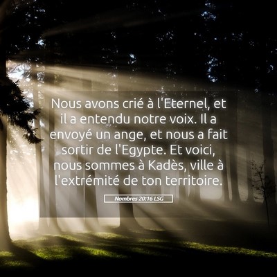 Picture 05 - Nombres 20:16 LSG - Nous avons crié à l'Eternel, et il a entendu - Bible Verse Picture